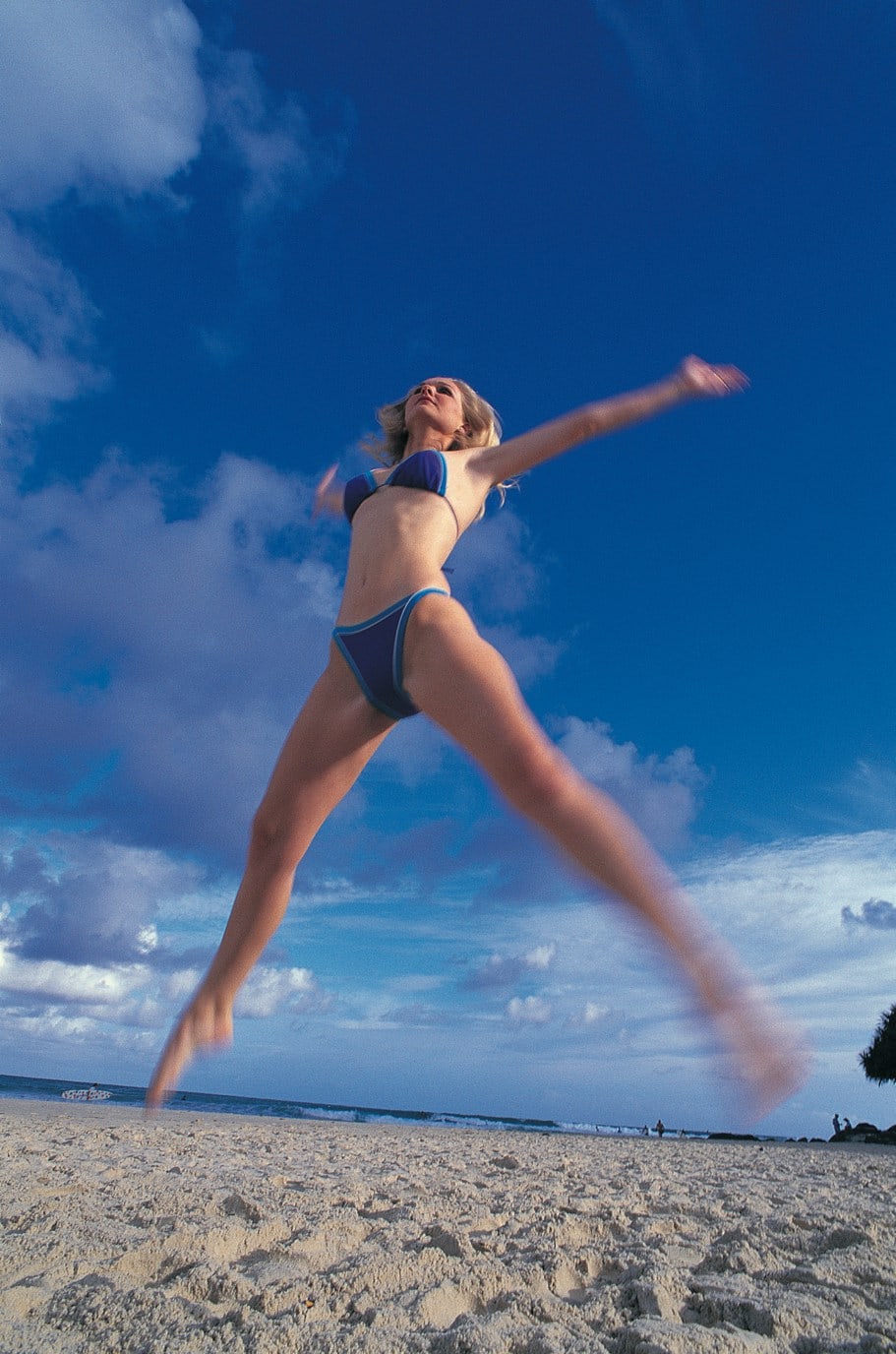 Vi savner at flyve